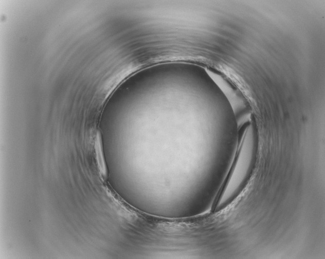 X0000087381185200705041937