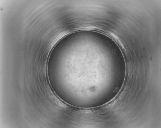 X0000087381186200705041937