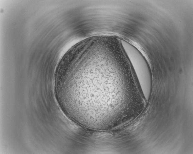 X0000087381187200705041937