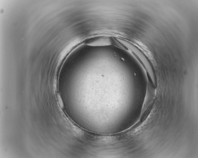 X0000087381188200705041937