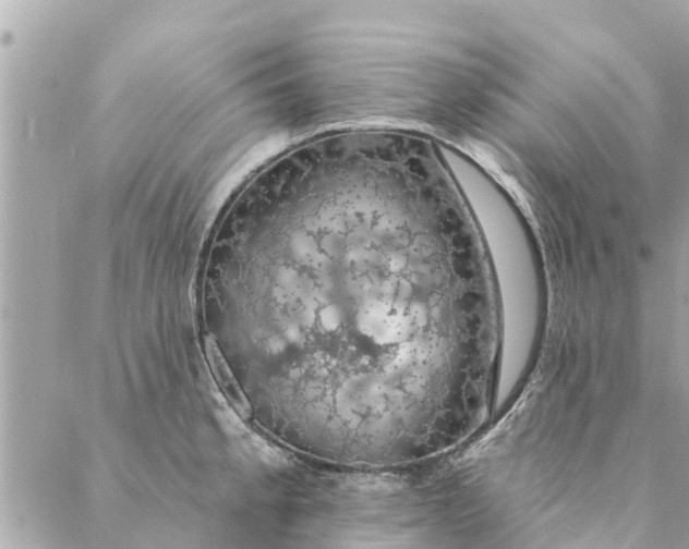 X0000087381189200705041937