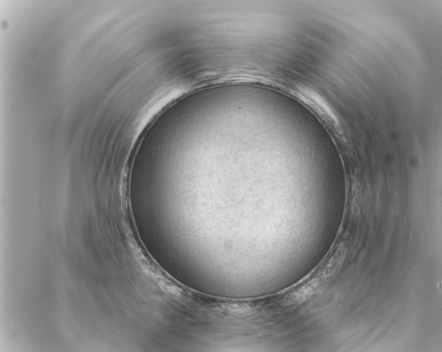 X0000087381190200705041937