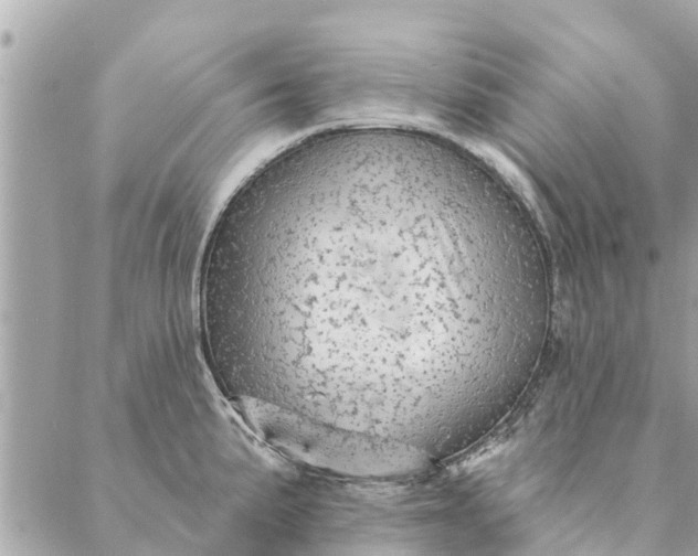 X0000087381191200705041937