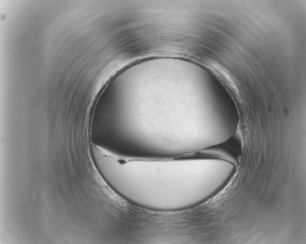 X0000087381192200705041937