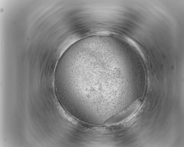 X0000087381194200705041937