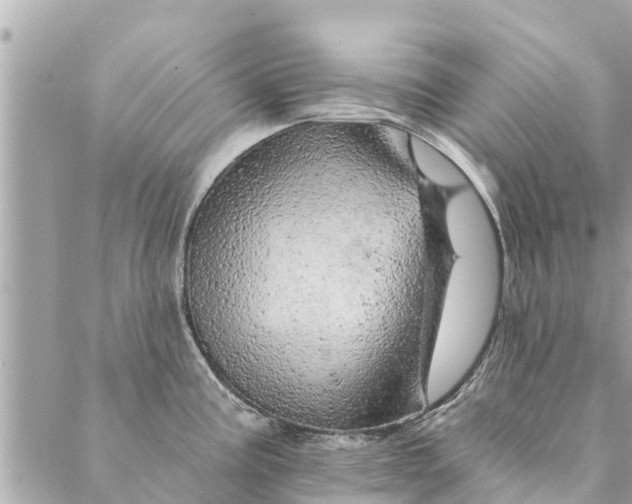 X0000087381195200705041937