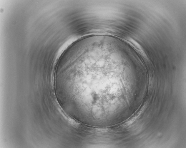 X0000087381196200705041937