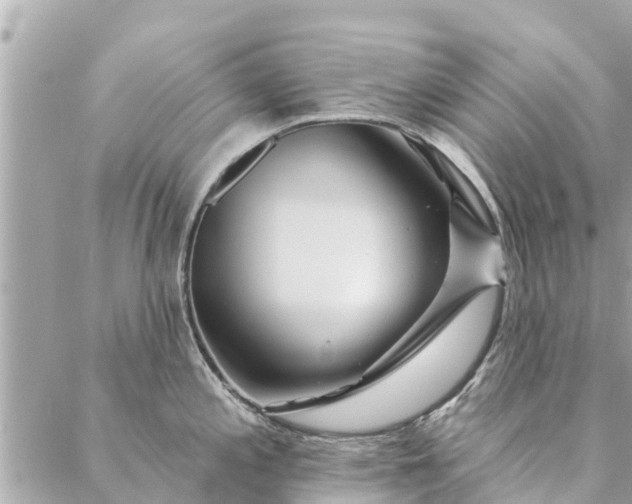 X0000087381197200705041937