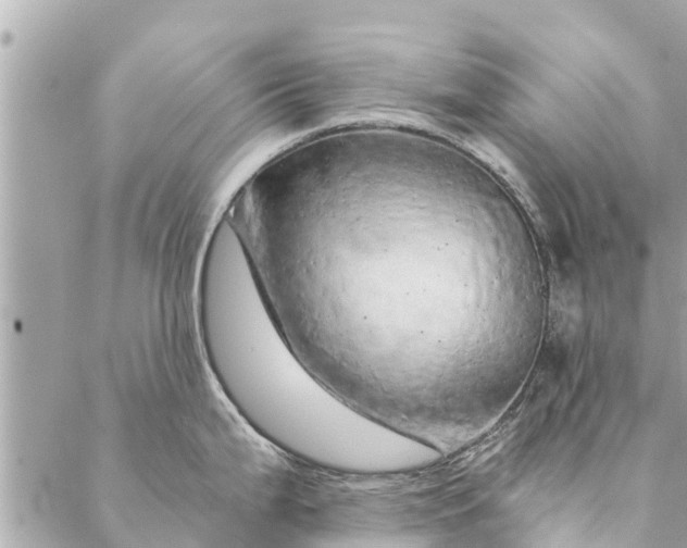 X0000087381199200705041937