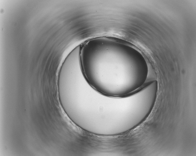 X0000087381200200705041937