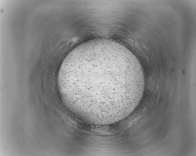 X0000087381201200705041936