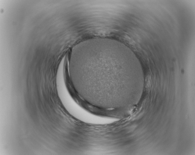 X0000087381202200705041936