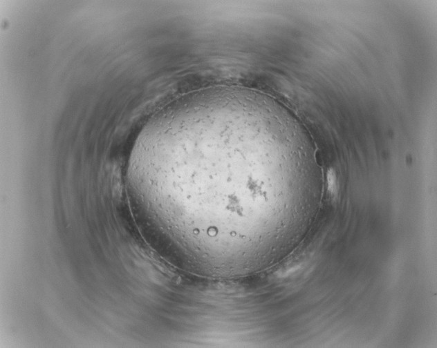 X0000087381203200705041936