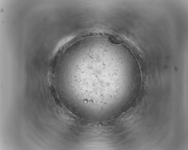 X0000087381207200705041937