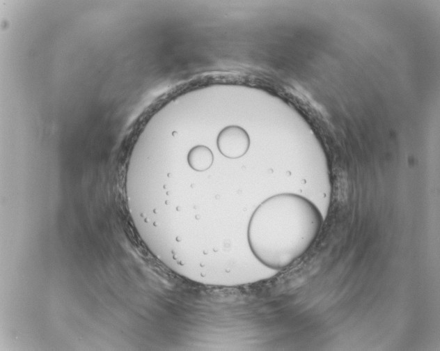 X0000087381208200705041937