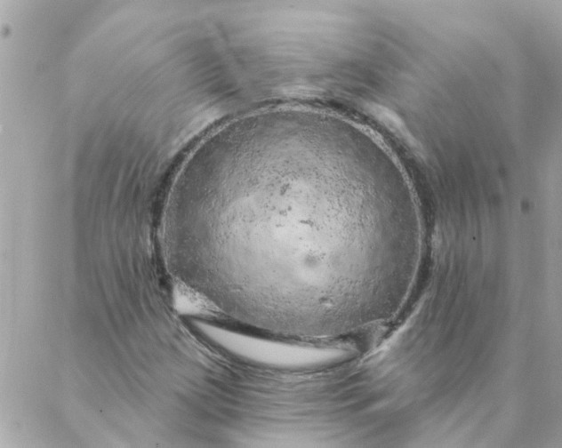 X0000087381209200705041937