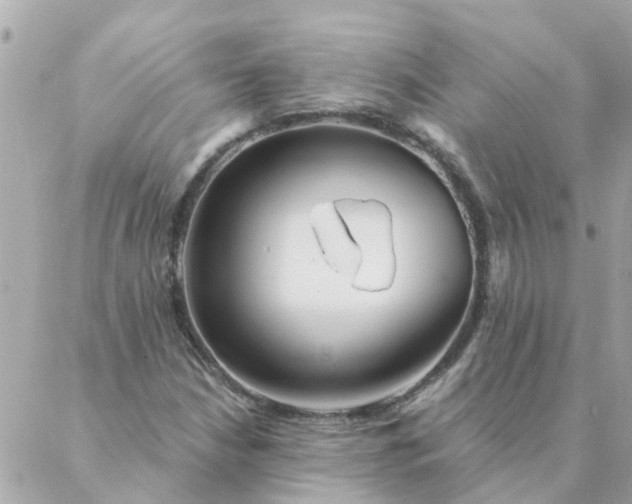 X0000087381210200705041937