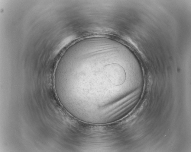 X0000087381211200705041937