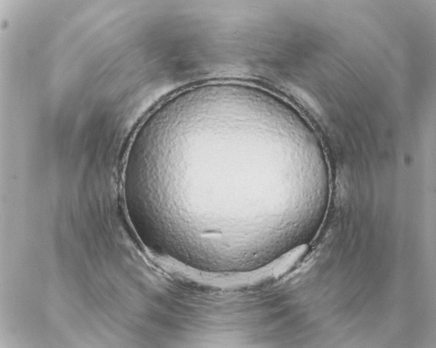 X0000087381212200705041937