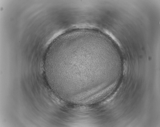 X0000087381213200705041937