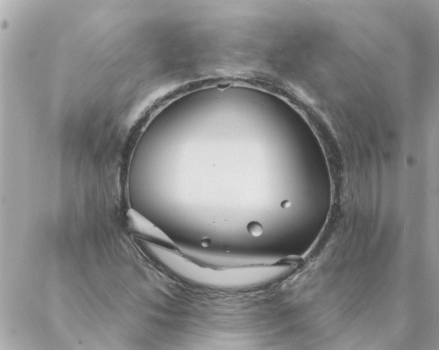 X0000087381214200705041937