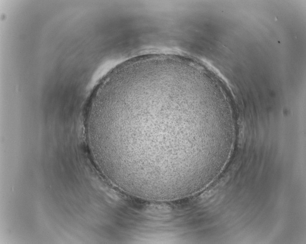 X0000087381215200705041937