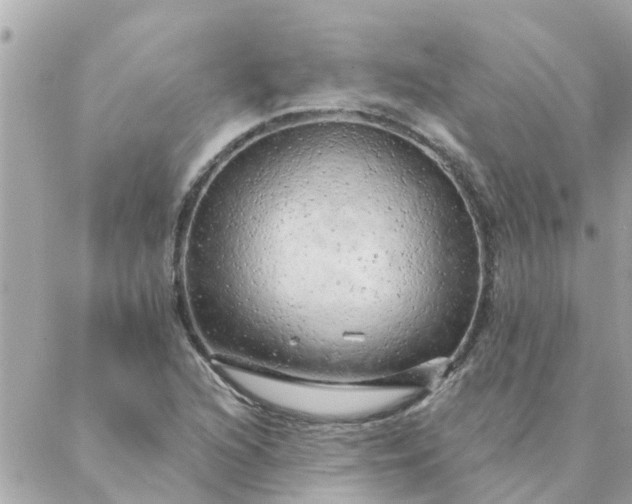 X0000087381216200705041937