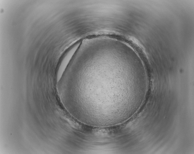 X0000087381217200705041937