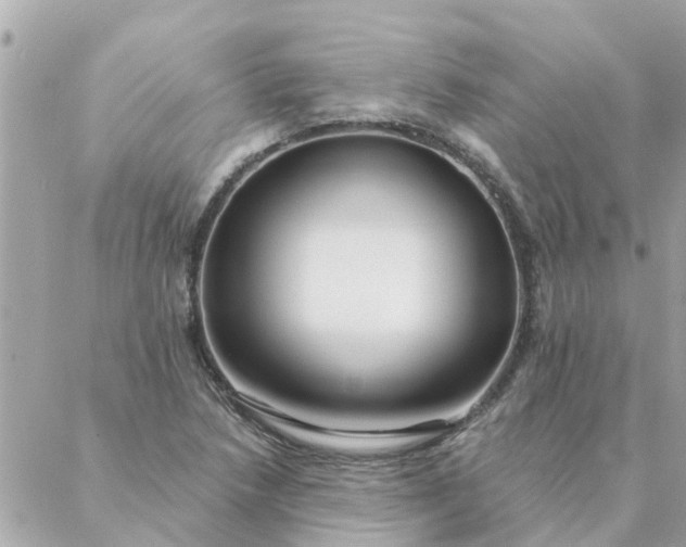 X0000087381218200705041937