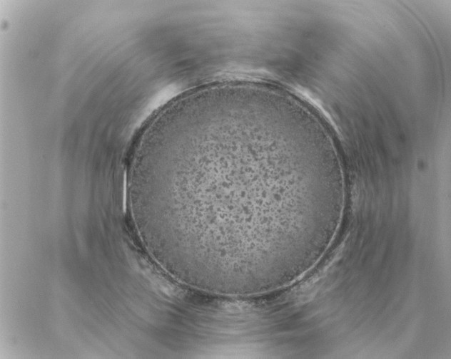 X0000087381219200705041937