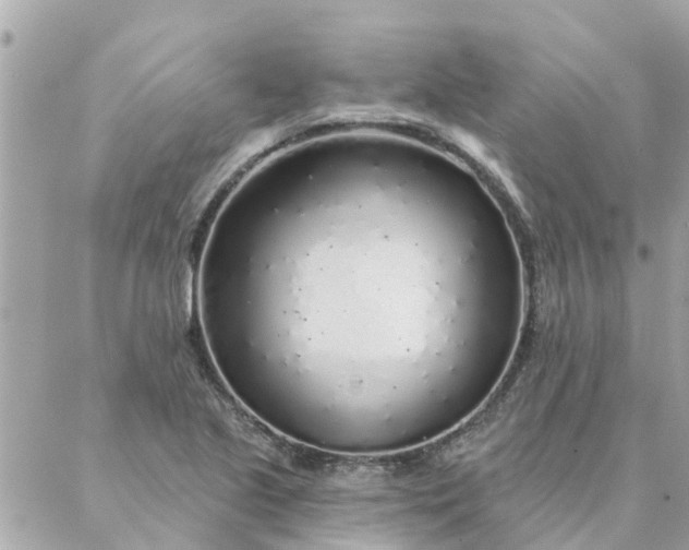 X0000087381221200705041937