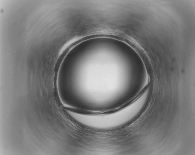 X0000087381222200705041937