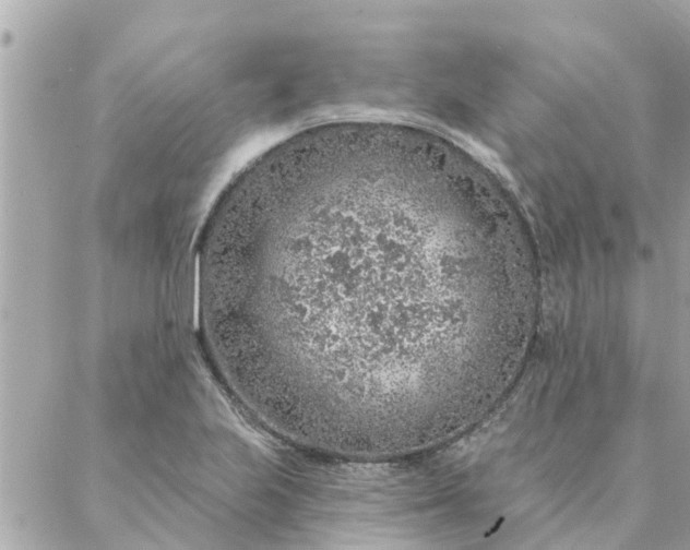 X0000087381223200705041937