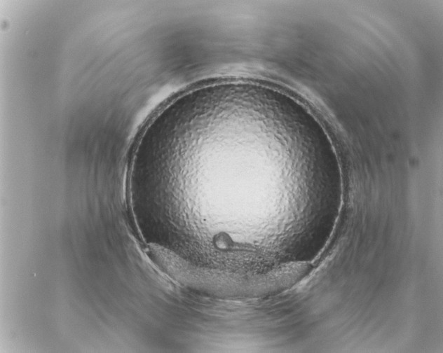 X0000087381224200705041937