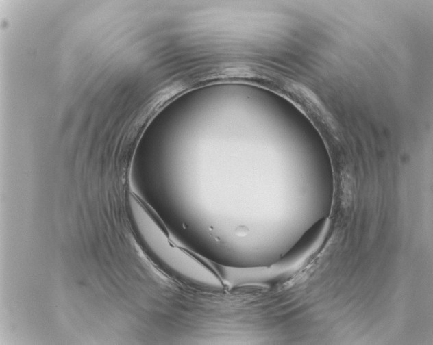 X0000087381225200705041937