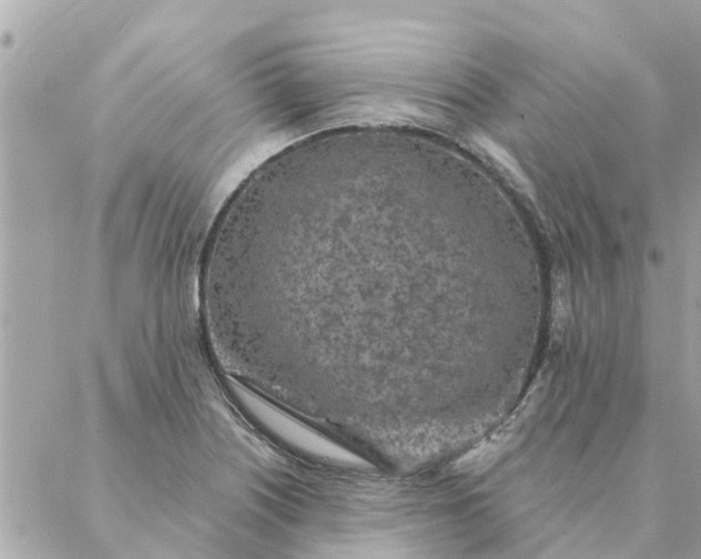 X0000087381226200705041937