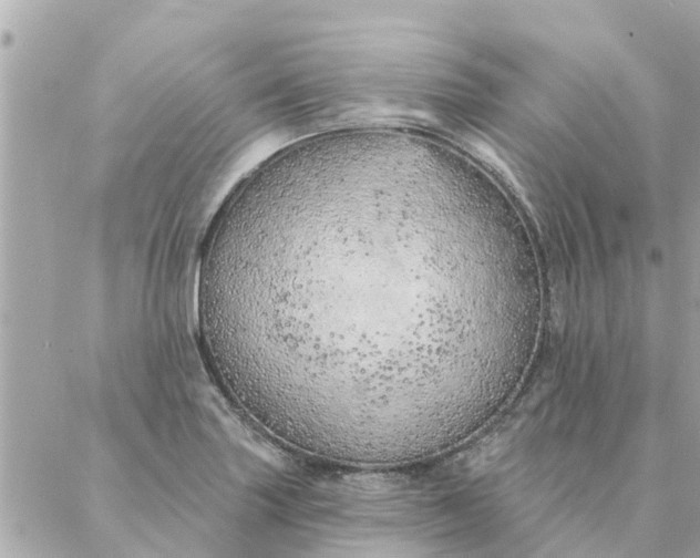 X0000087381227200705041937