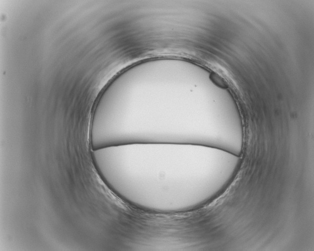 X0000087381228200705041937