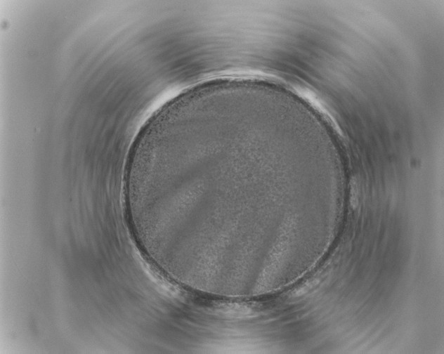 X0000087381229200705041937