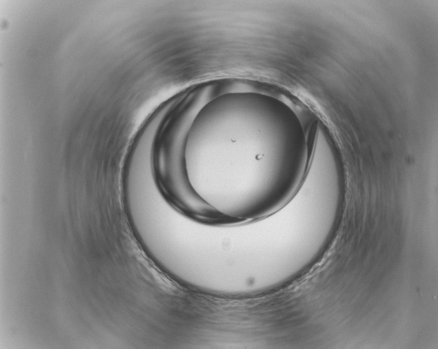 X0000087381230200705041937