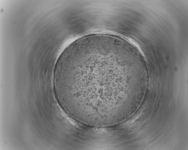 X0000087381231200705041937