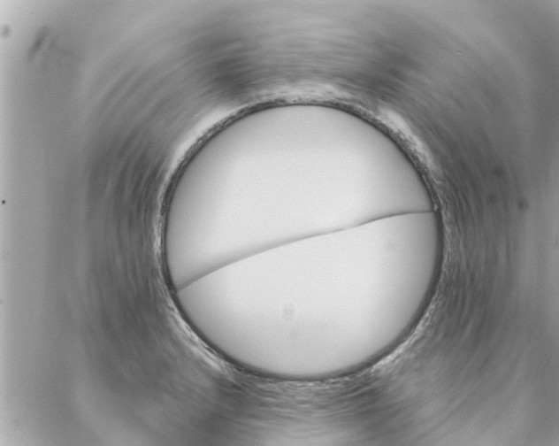 X0000087381232200705041937