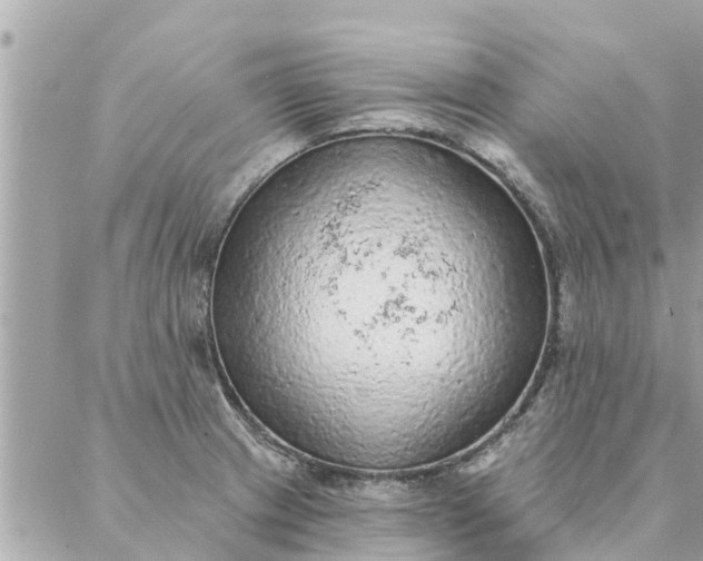 X0000087381233200705041937