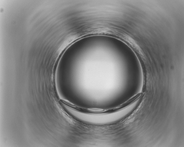 X0000087381234200705041937