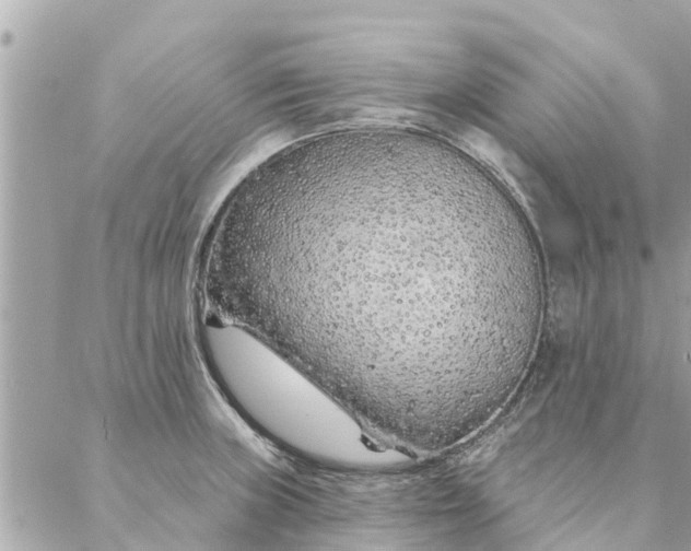 X0000087381235200705041937