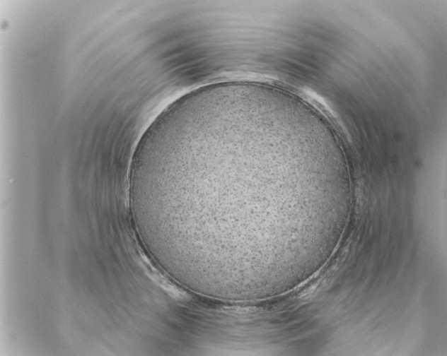 X0000087381236200705041937