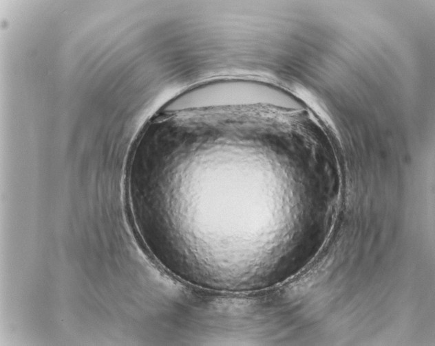 X0000087381237200705041937