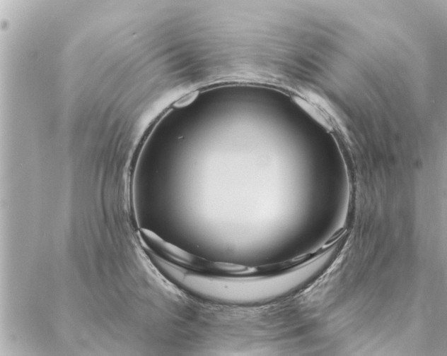 X0000087381238200705041937