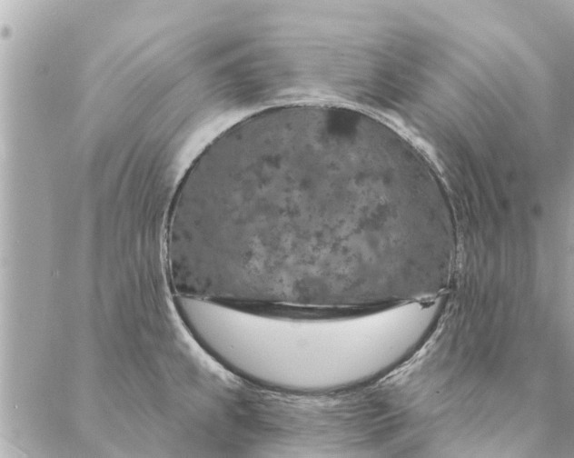 X0000087381239200705041937