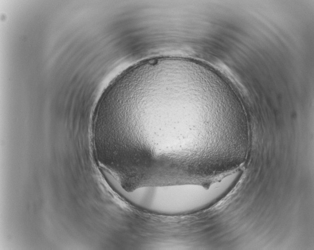 X0000087381240200705041937